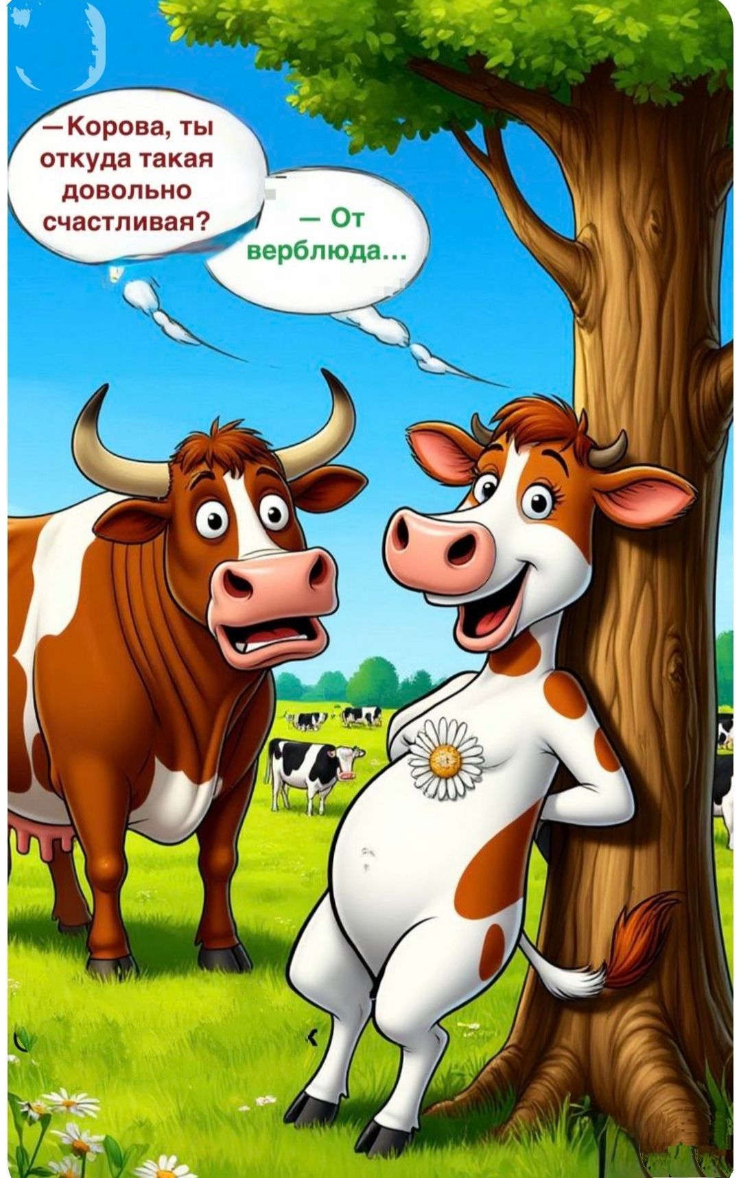 — Корова, ты откуда такая довольно счастливая? — От верблюда...