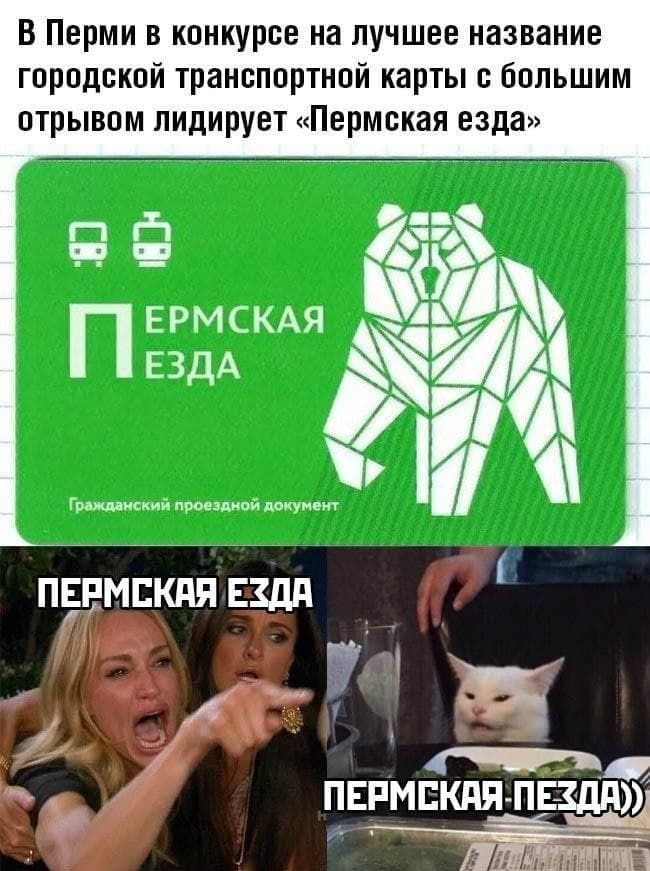 в Перми в конкурсе на лучшее название городской транспортной карты с большим отрывом лидирует «Пермская езда»
Пермская езда
Гражданский проездной документ
ПЕРМСКАЯ ЕЗДА
ПЕРМСКАЯ ПЕЗДА