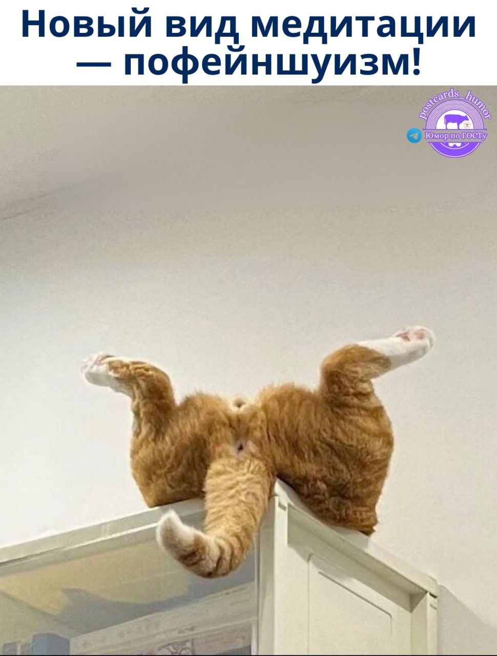 Новый вид медитации — пофейнишумизм!