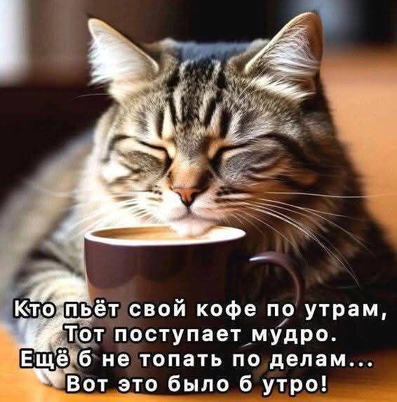 Кто пьёт свой кофе по утрам, Тот поступает мудро. Ещё б не попасть по делам... Вот это было б утро!