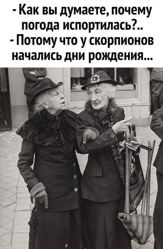 - Как вы думаете, почему погода испортилась?.. - Потому что у скорпионов начались дни рождения...