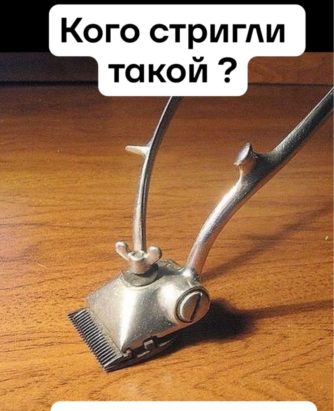 Кого стригли такой?