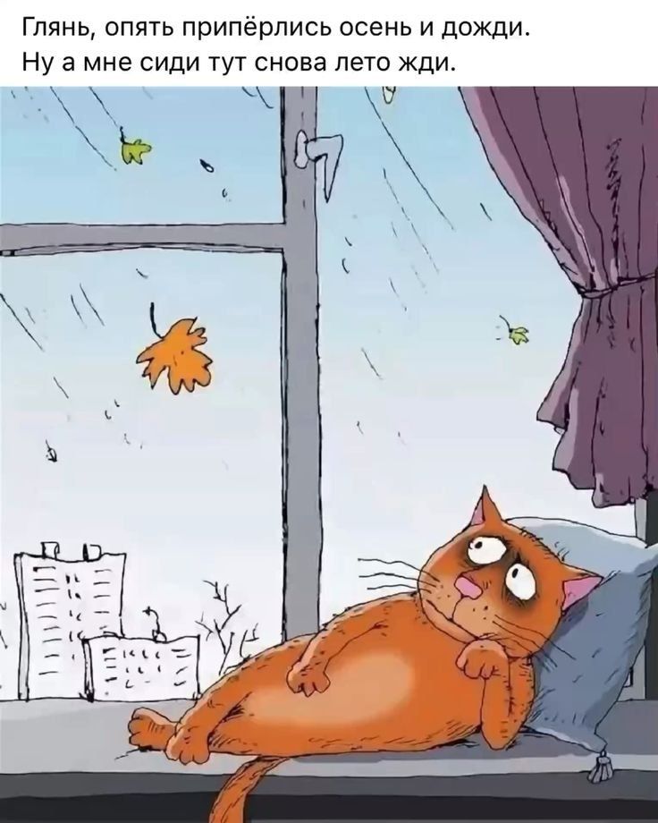 Глянь, опять приперлись осень и дожди. Ну а мне сиди тут снова лето жди.