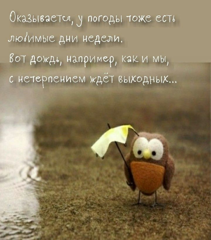 Оказывается, у погоды тоже есть любимые дни недель. Вот дождь, например, как и мы, с нетерпением ждёт выходных...