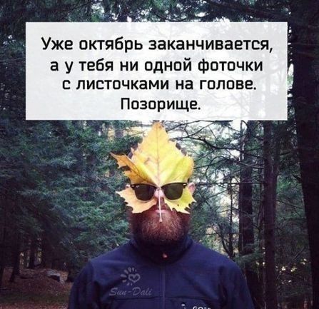 Уже октябрь заканчивается, а у тебя ни одной фоточки с листочками на голове. Позорише.