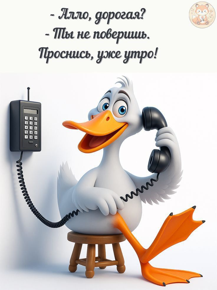 - Алло, дорогая?
- Ты не поверишь.
Проснись, уже утро!