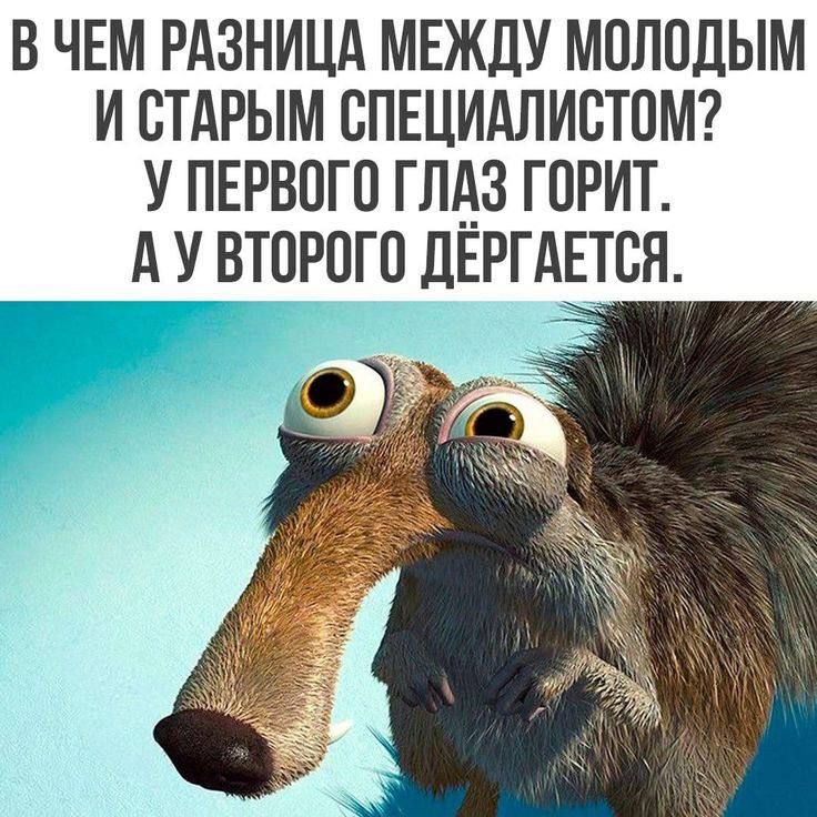 В ЧЕМ РАЗНИЦА МЕЖДУ МОЛОДЫМ И СТАРЫМ СПЕЦИАЛИСТОМ? У ПЕРВОГО ГЛАЗ ГОРИТ. А У ВТОРОГО ДЕРГАЕТСЯ.