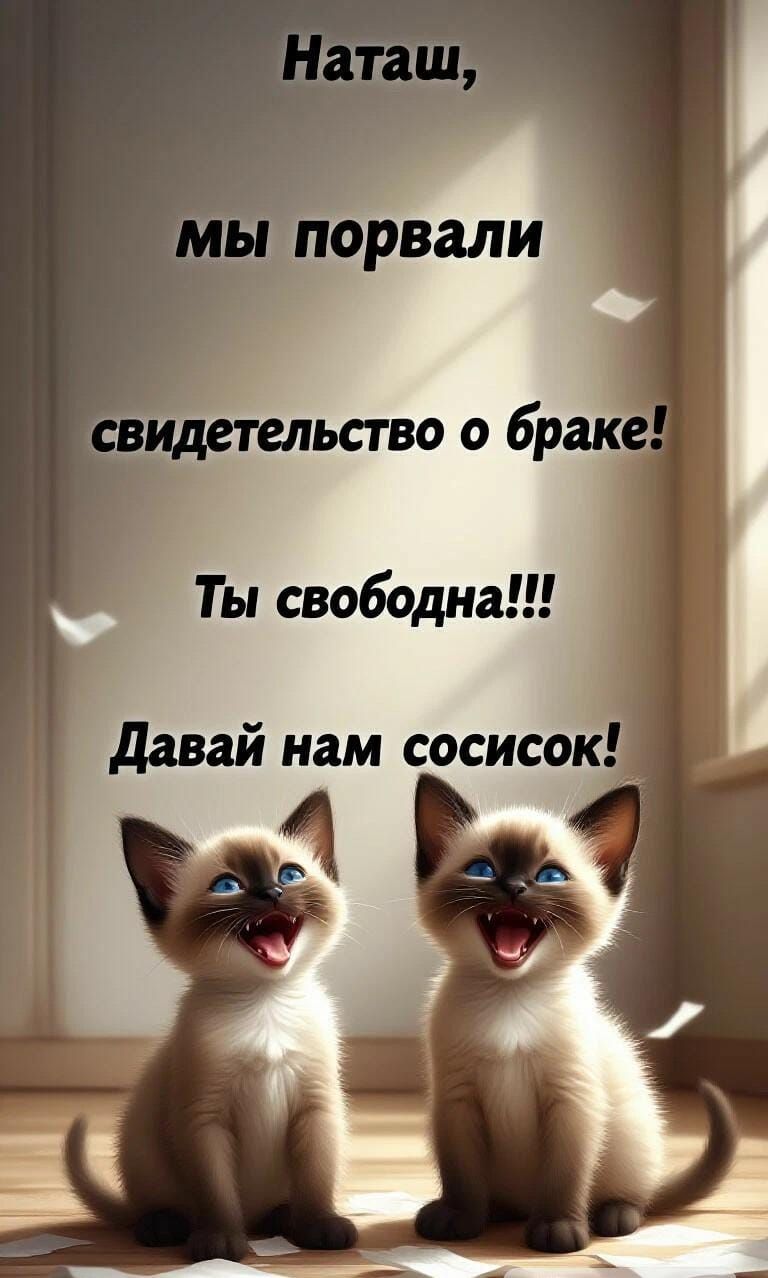 Наташ, мы порвали свидетельство о браке! Ты свободна!!! Давай нам сосиск!