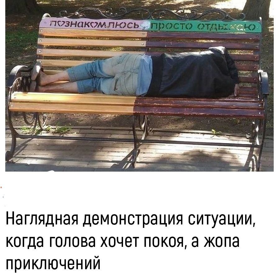 познакомлюсь просто отдыхаю
Наглядная демонстрация ситуации, когда голова хочет покоя, а жопа приключений
