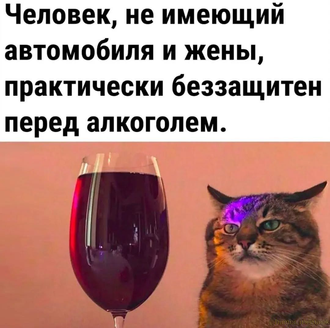 Человек, не имеющий автомобиля и жены, практически беззащитен перед алкоголем.