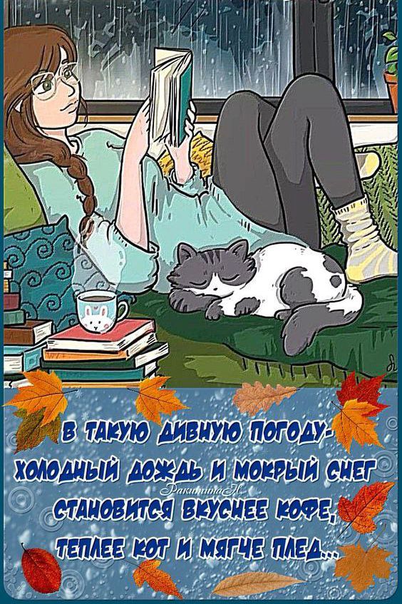 В такую дивную погоду холодный дождь и мокрый снег становится вкуснее кофе теплее кот и мягче плед...