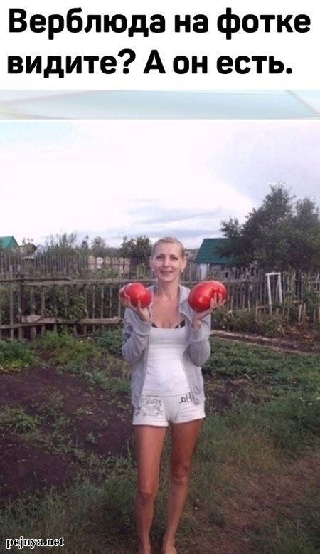 Верблюда на фотке видите? А он есть.