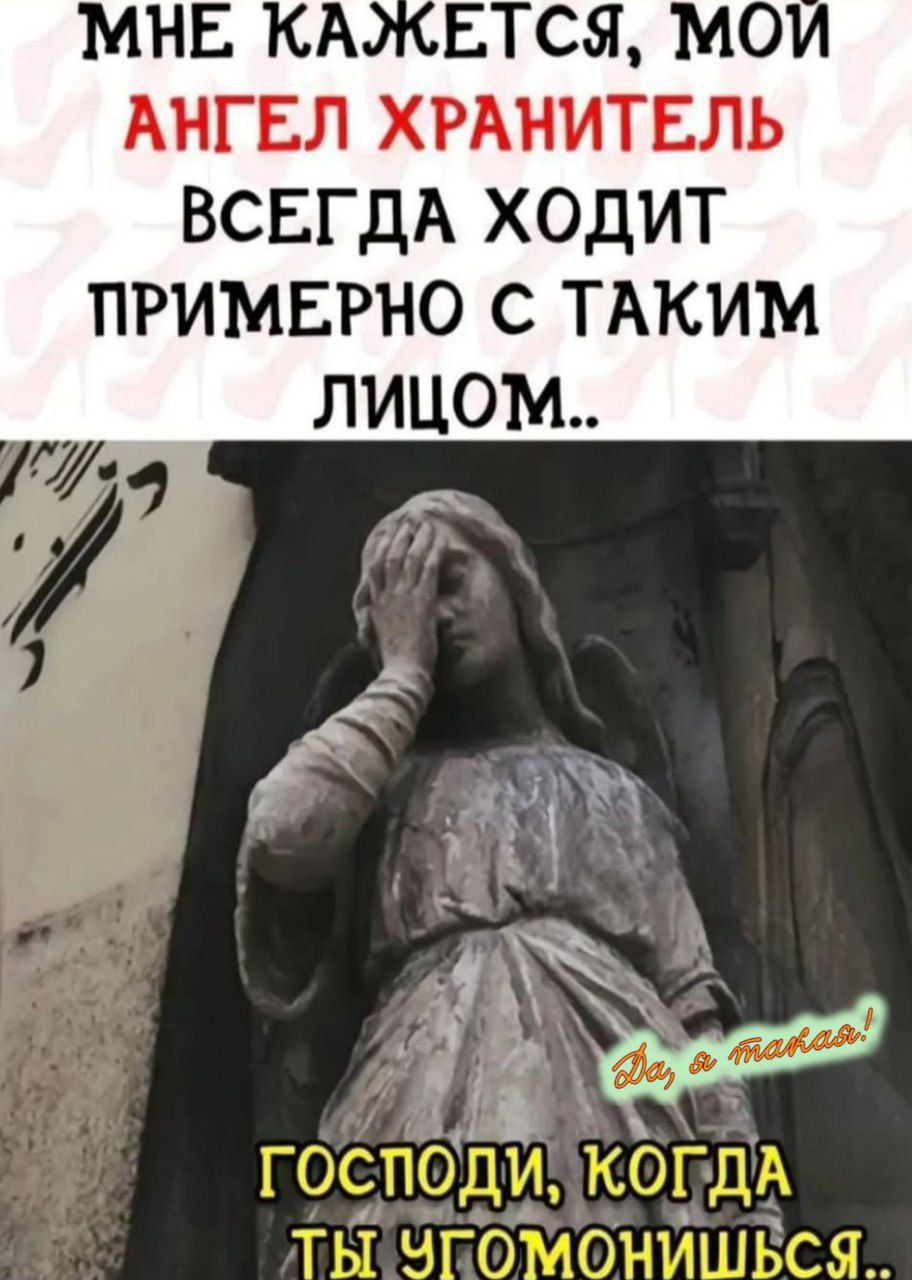 Мне кажется, мой ангел хранитель всегда ходит примерно с таким лицом.. Господи, когда ты угомонишься...