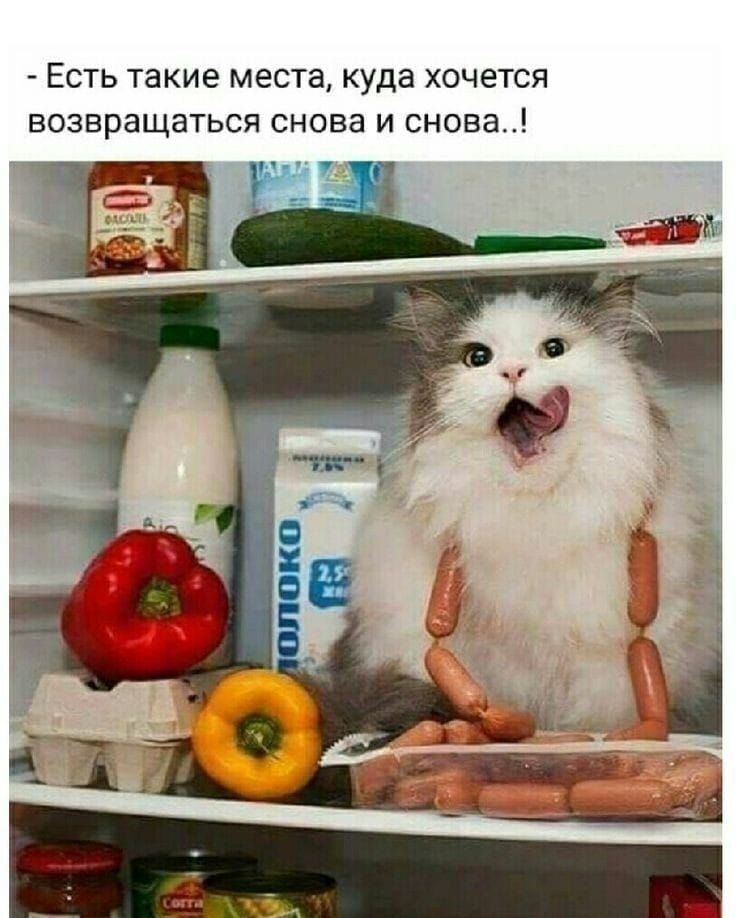 Есть такие места, куда хочется возвращаться снова и снова..!