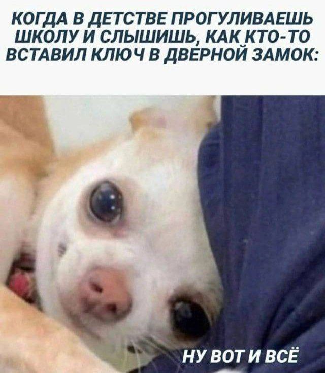 КОГДА В ДЕТСТВЕ ПРОГУЛИВАЕШЬ ШКОЛУ И СЛЫШИШЬ, КАК КТО-ТО ВСТАВИЛ КЛЮЧ В ДВЕРНОЙ ЗАМок:\nНУ ВОТ И ВСЁ