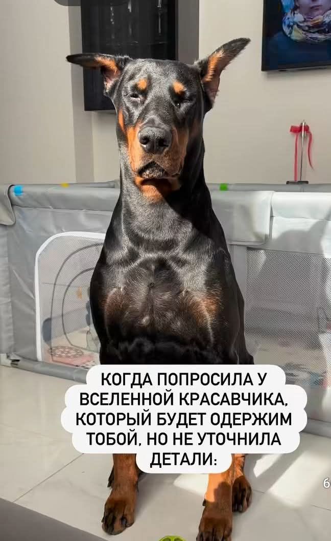 КОГДА ПОПРОСИЛА У ВСЕЛЕННОЙ КРАСАВЧИКА, КОТОРЫЙ БУДЕТ ОДЕРЖИМ ТВОЙ, НО НЕ УТОЧНИЛА ДЕТАЛИ: