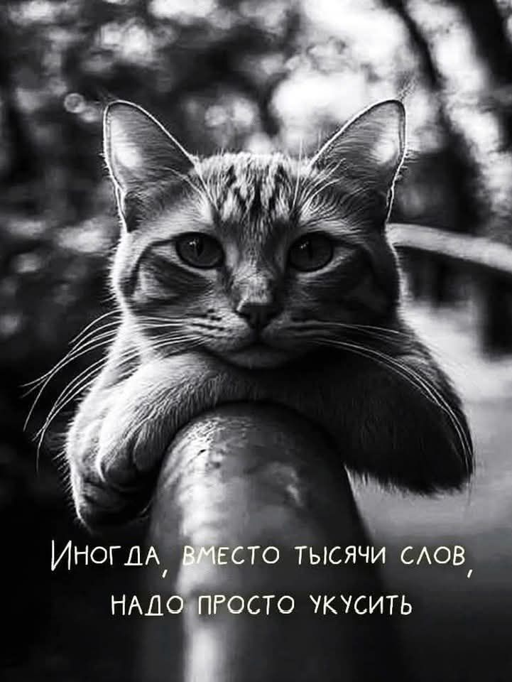 Иногда, вместо тысячи слов, надо просто укуcить