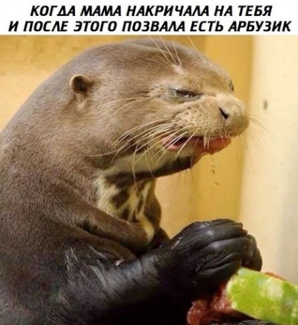 КОГДА МАМА НАКРИЧАЛА НА ТЕБЯ И ПОСЛЕ ЭТОГО ПОЗВАЛА ЕСТЬ АРБУЗИК