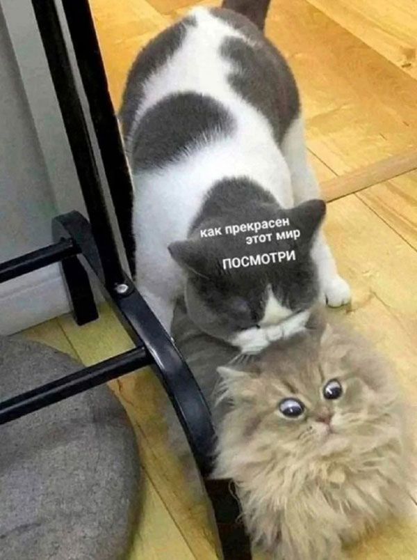 как прекрасен этот мир посмотри