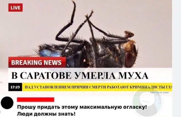 LIVE
BREAKING NEWS
В САРАТОВЕ УМЕРЛА МУХА
НАД УСТАНОВЛЕНИЕМ ПРИЧИН СМЕРТИ РАБОТАЮТ КРИМИНАЛИСТЫ
17:23
Прошу придать этому максимальную огласку! Люди должны знать!
