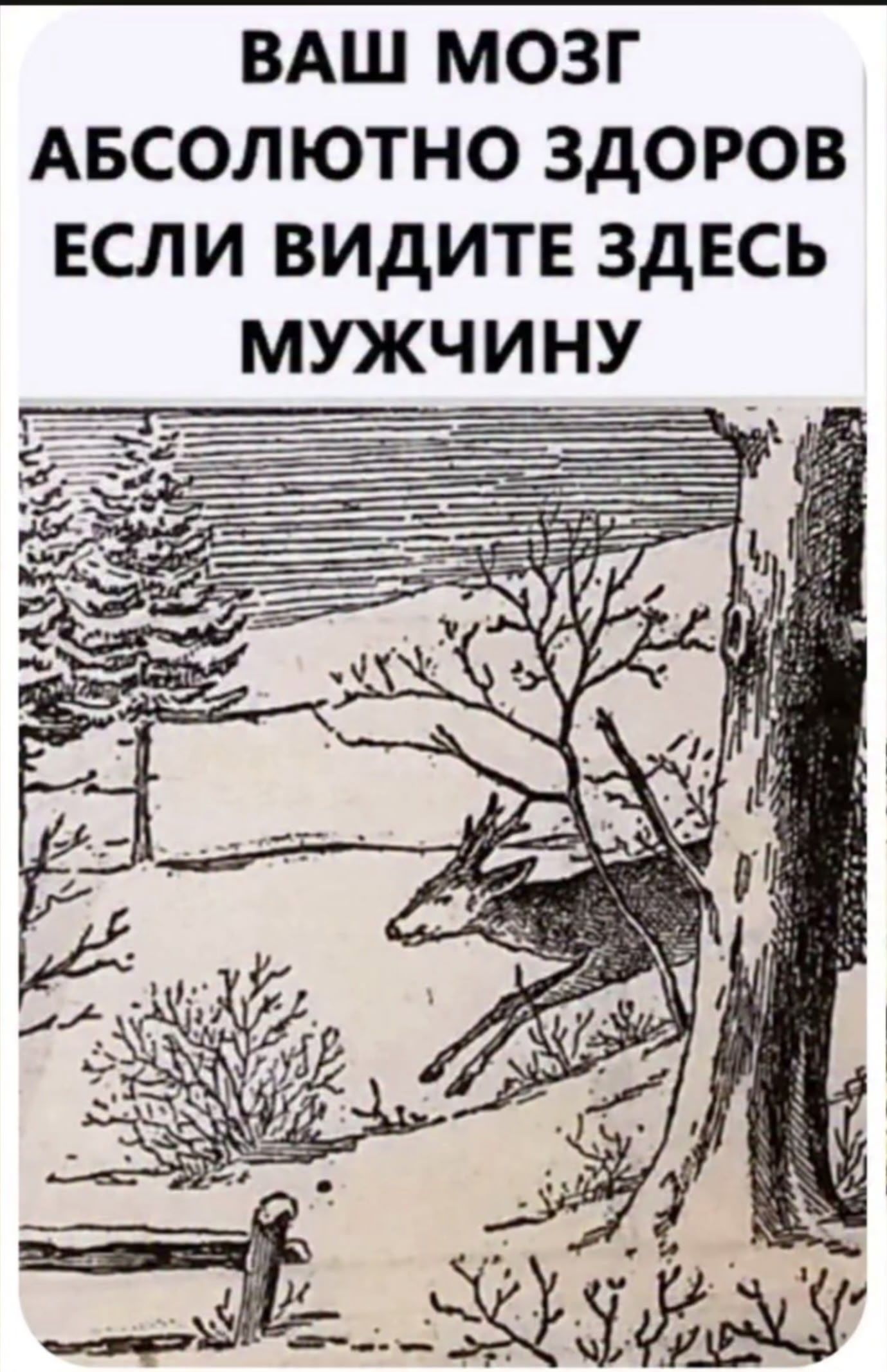 ВАШ МОЗГ ABSОЛЮТНО ЗДОРОВ ЕСЛИ ВИДИТЕ ЗДЕСЬ МУЖЧИНУ