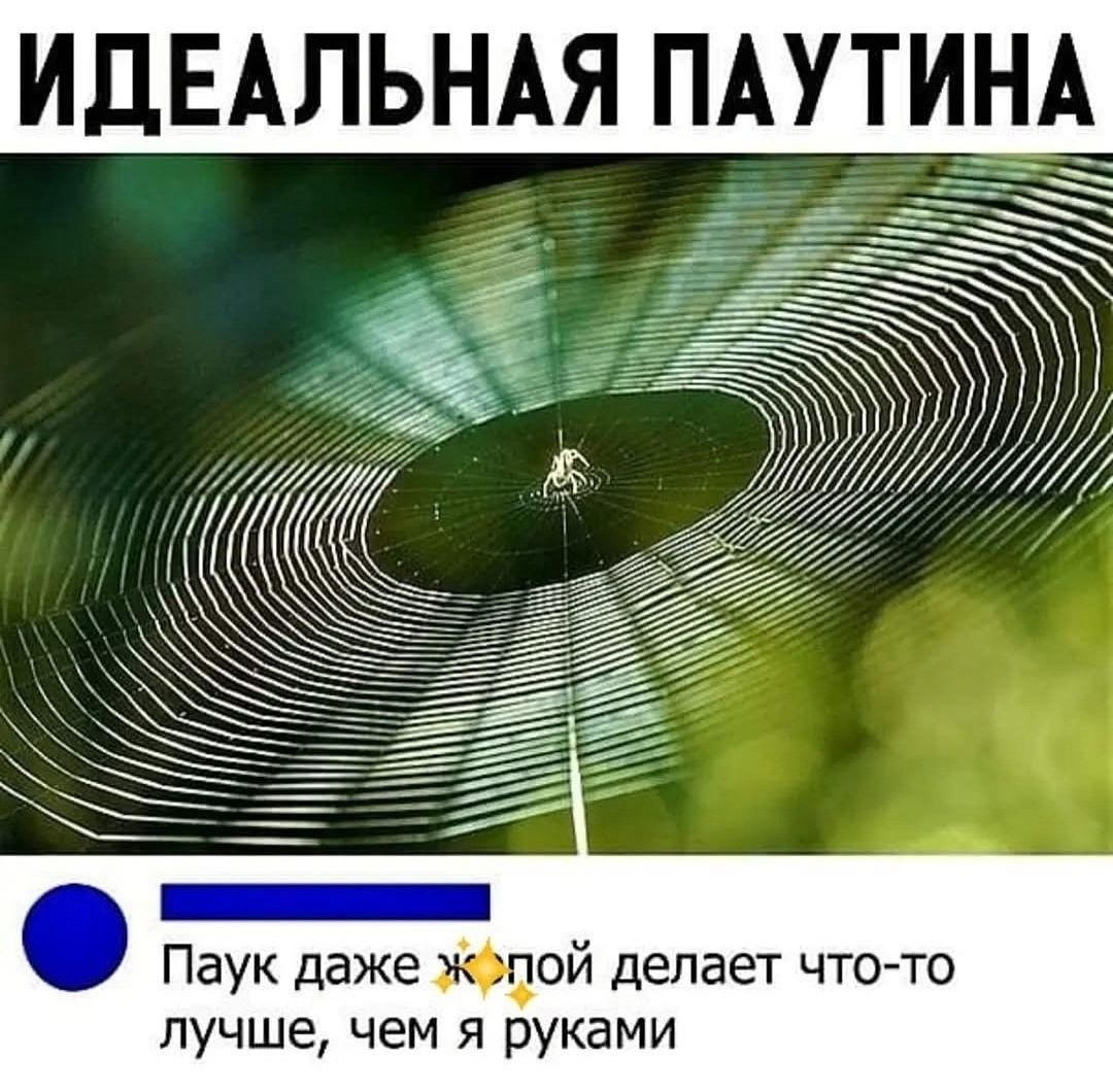 ИДЕАЛЬНАЯ ПАУТИНА
Паук даже 🔆 делает что-то лучше, чем я руками