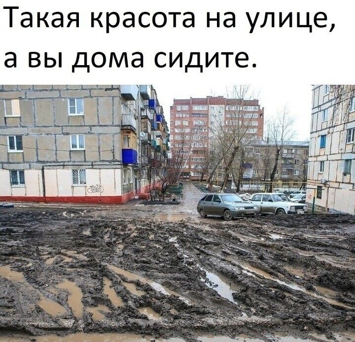Такая красота на улице, а вы дома сидите.