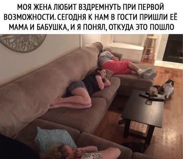 МОЯ ЖЕНА ЛЮБИТ ВЗДРЕМНУТЬ ПРИ ПЕРВОЙ ВОЗМОЖНОСТИ. СЕГОДНЯ К НАМ В ГОСТИ ПРИШЛИ ЕЁ МАМА И БАБУШКА, И Я ПОНЯЛ, ОТКУДА ЭТО ПОШЛО