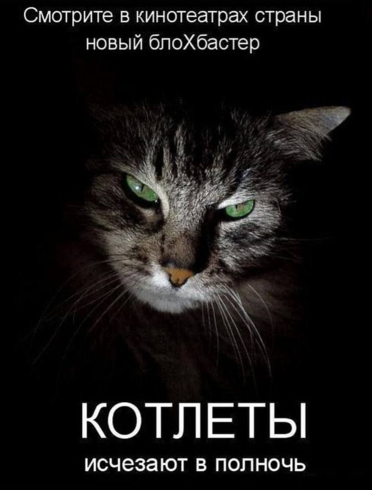 Смотрите в кинотеатрах страны новый блохбастер\nКОТЛЕТЫ исчезают в полночь