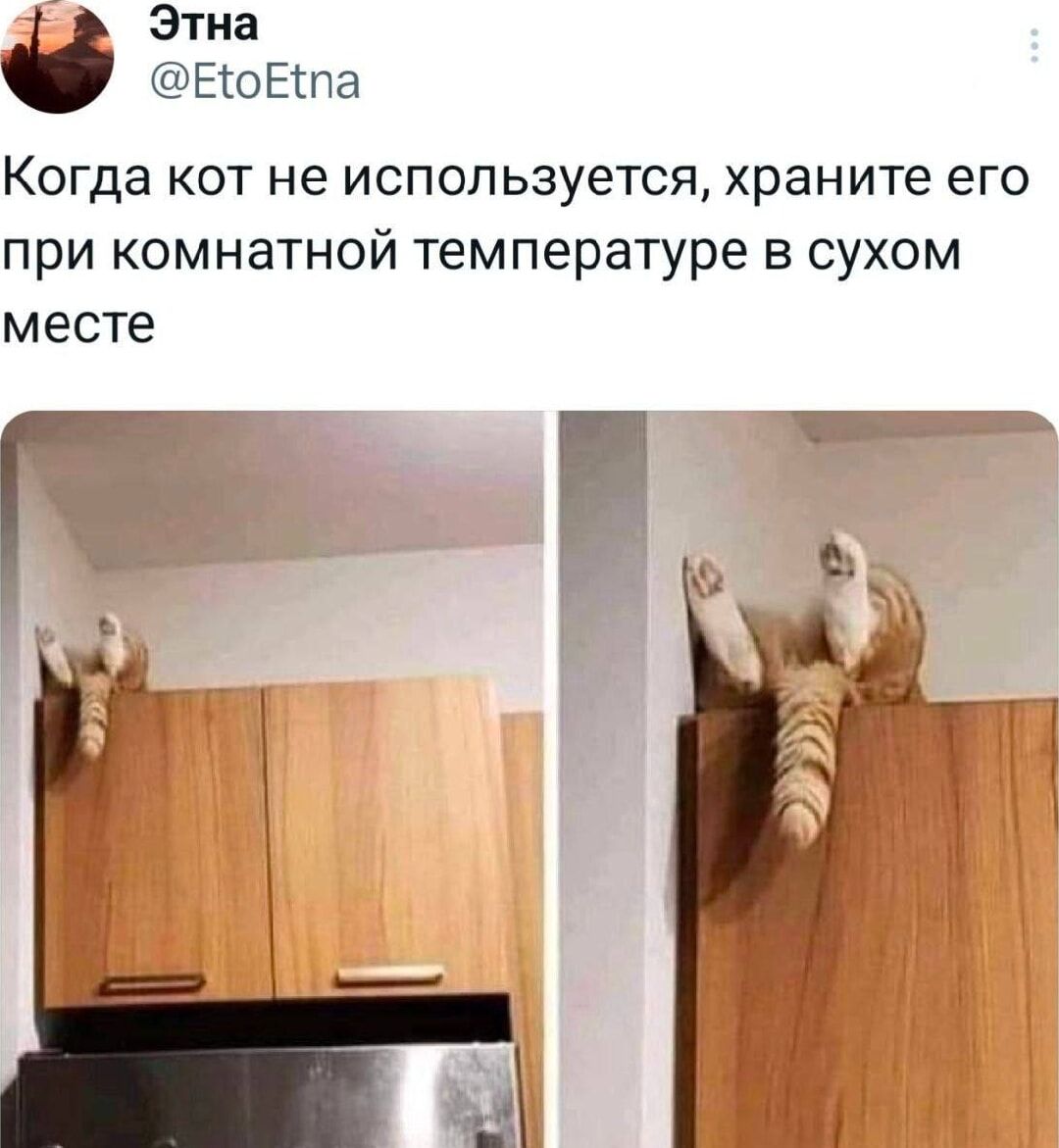 Когда кот не используется, храните его при комнатной температуре в сухом месте