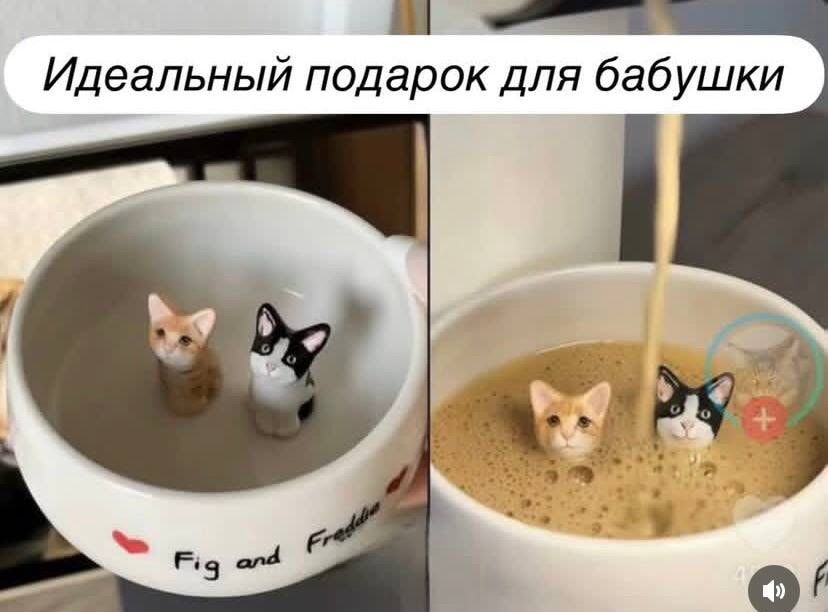 Идеальный подарок для бабушки
Fig and Frog