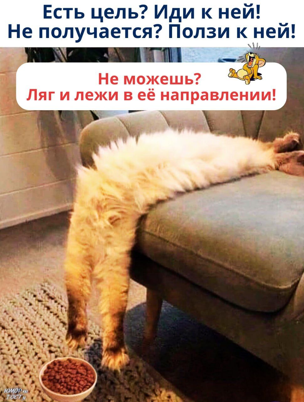 Есть цель? Иди к ней! Не получается? Пользуйся к ней! Не можешь? Ляг и лежи в её направлении!