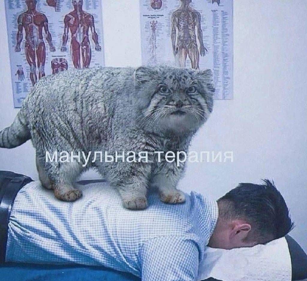 мануальная терапия