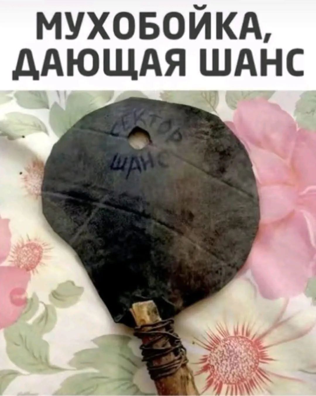 МУХОБОЙКА, ДАЮЩАЯ ШАНС