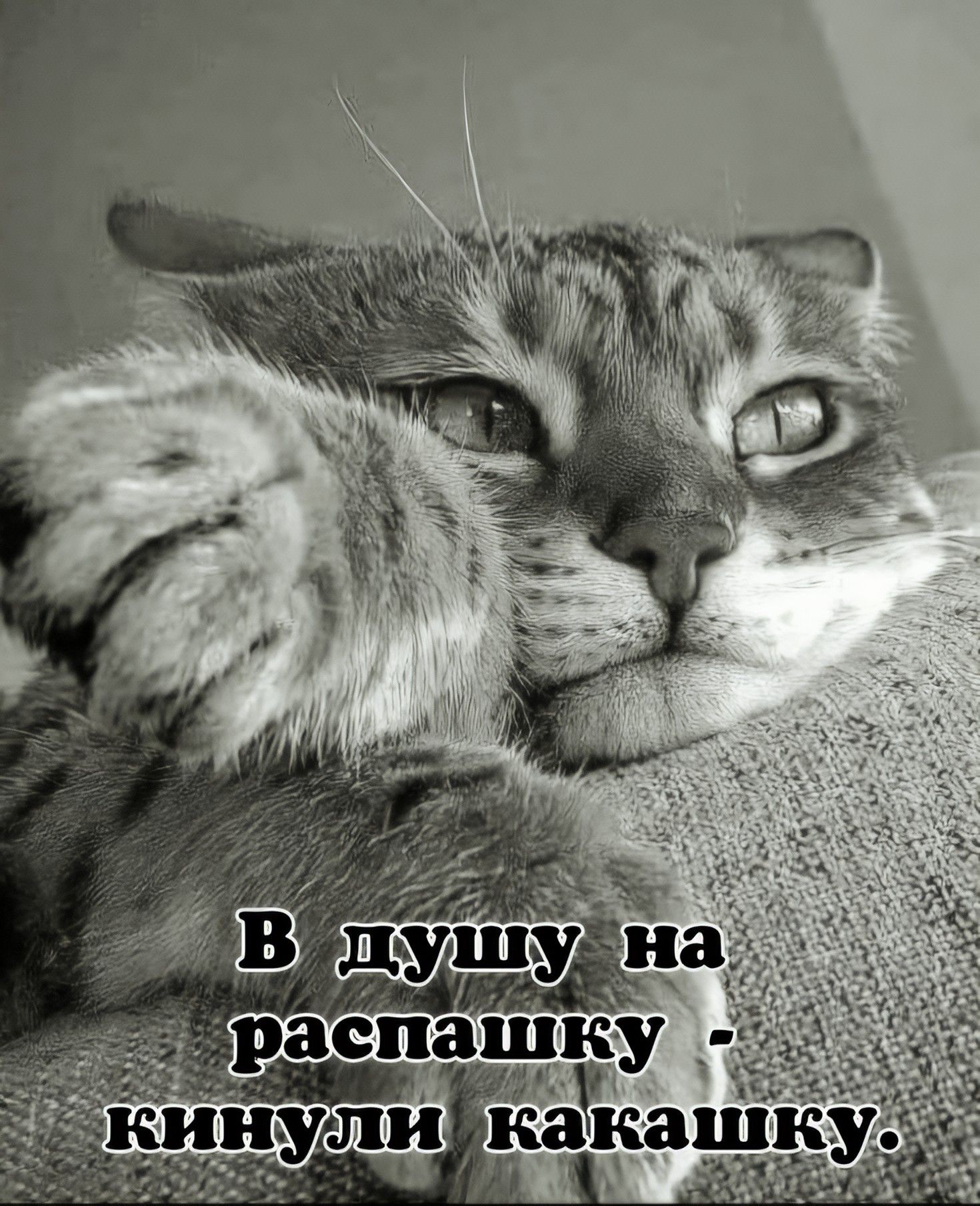 В душу на распашку - кинули какашку.