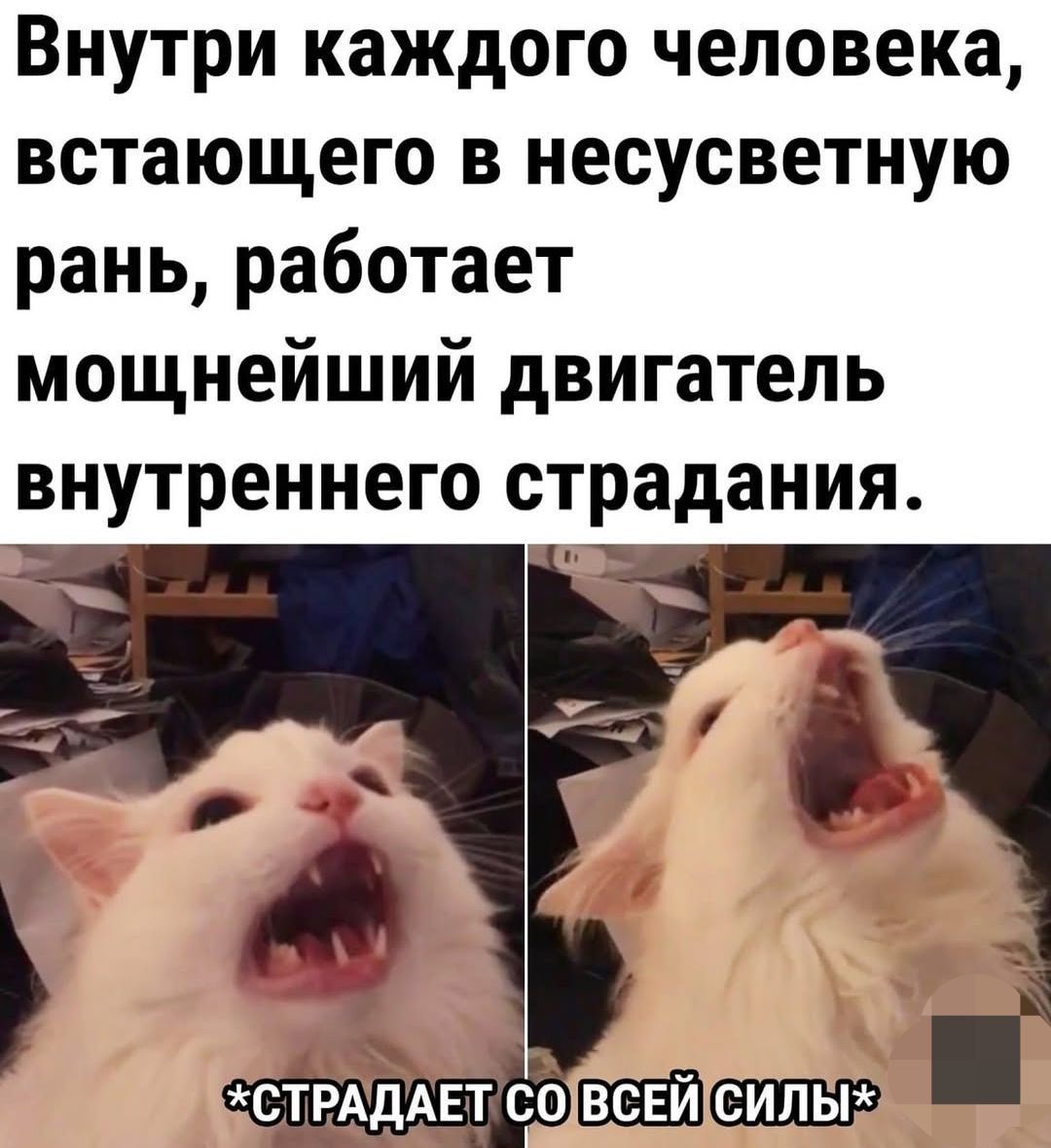 Внутри каждого человека, вставшего в несусветную рану, работает мощнейший двигатель внутреннего страдания. *СТРАДАЕТ СО ВСЕЙ СИЛЫ*