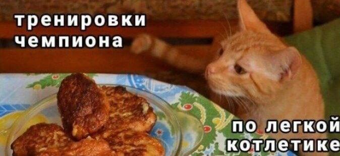 тренировки чемпиона
по лёгкой котлетке
