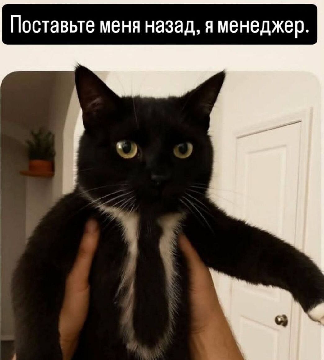 Поставьте меня назад, я менеджер.