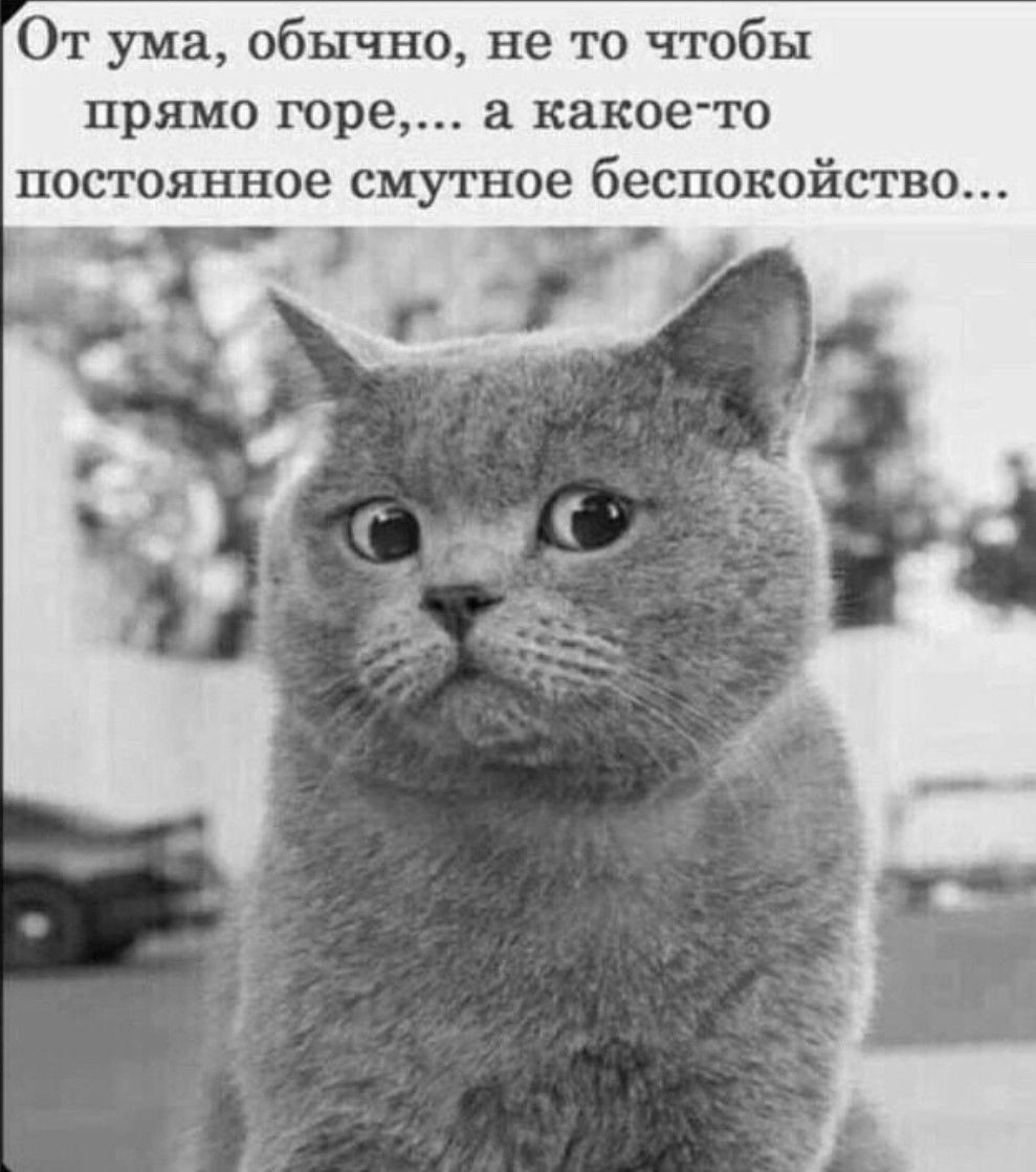 От ума, обычно, не то чтобы прямо горе,... а какое-то постоянное смутное беспокойство...