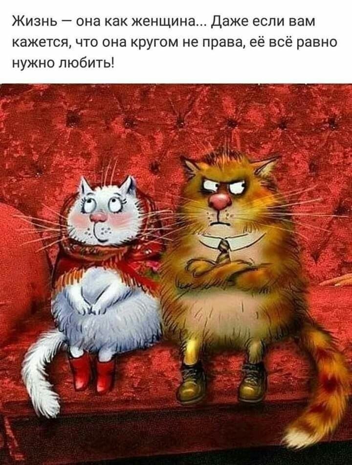 Жизнь — она как женщина... Даже если вам кажется, что она кругом не права, её всё равно нужно любить!
