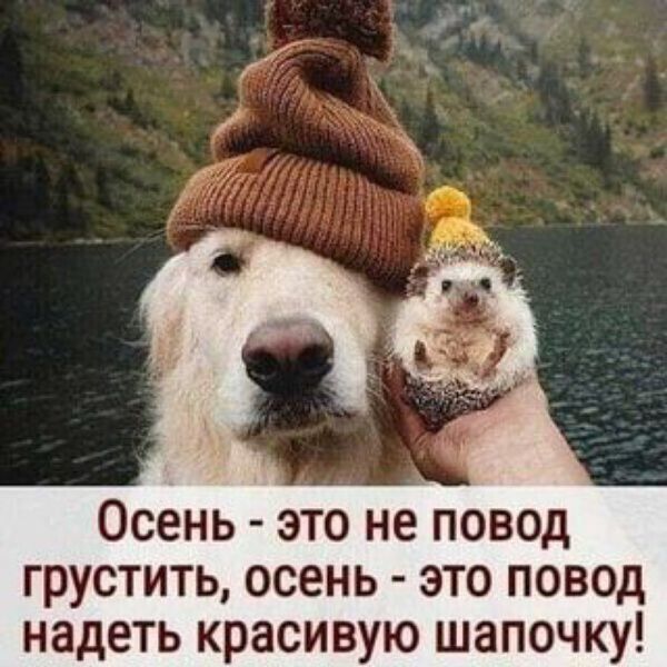 Осень - это не повод грустить, осень - это повод надеть красивую шапочку!