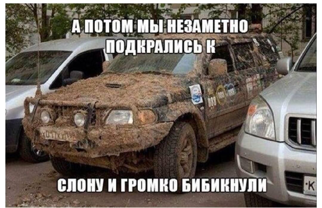 А ПОТОМ МЫ НЕЗАМЕТНО ПОДКАПАЛИСЬ К СЛОНУ И ГРОМКО БИБИКНУЛИ