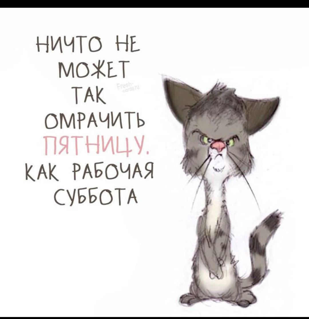 НИЧТО НЕ МОЖЕТ ТАК ОМРАЧИТЬ ПЯТНИЦУ КАК РАБОЧАЯ СУББОТА