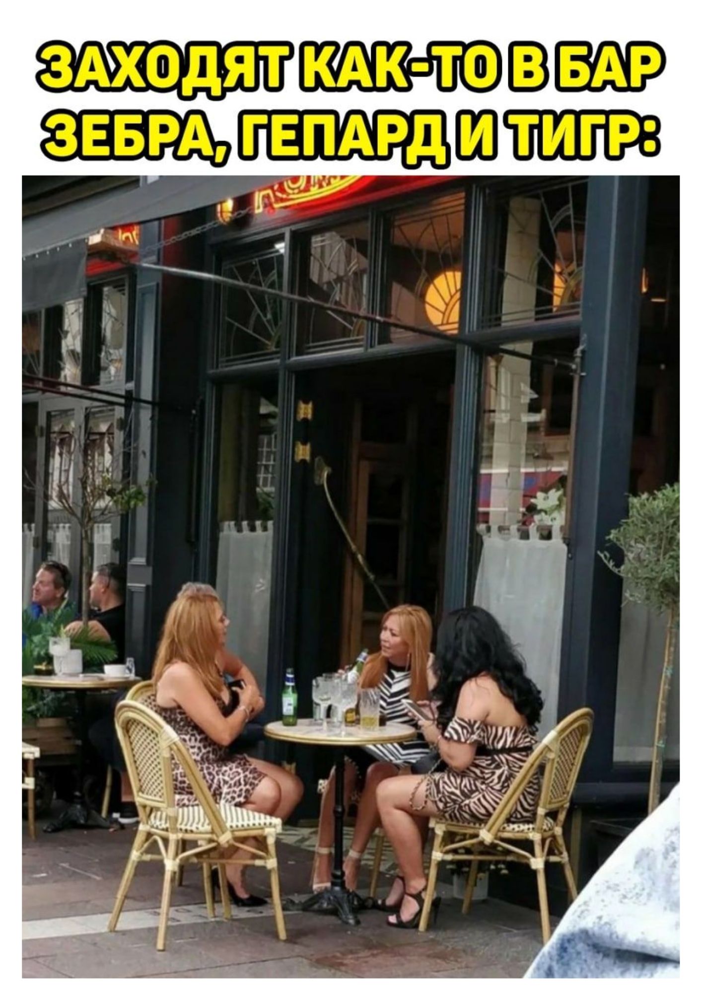 ЗАХОДЯТ КАК-ТО В БАР ЗЕБРА, ГЕПАРД И ТИГР: