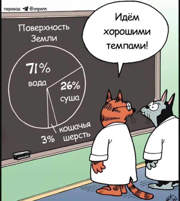 Поверхность Земли
71% вода
26% суша
3% кошачья шерсть
Идём хорошими темпами!
