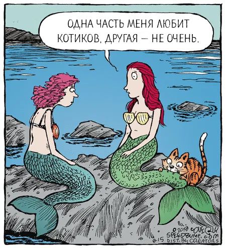 ОДНА ЧАСТЬ МЕНЯ ЛЮБИТ КОТИКОВ, ДРУГАЯ – НЕ ОЧЕНЬ.
