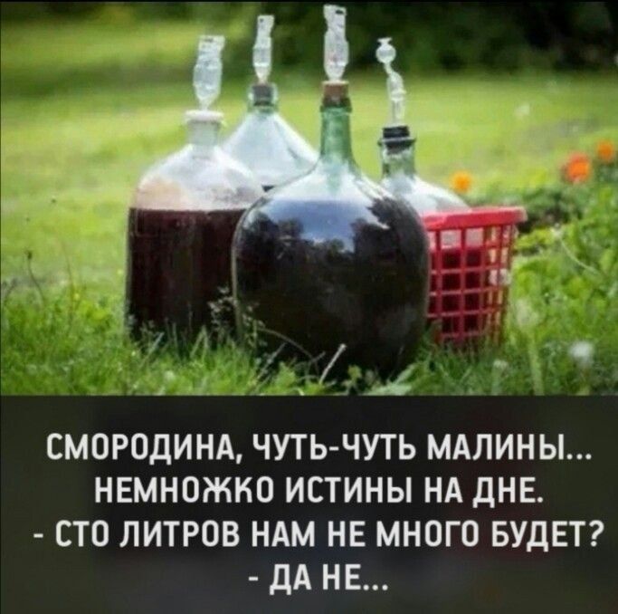 Смородина, чуть-чуть малины... Немножко истины на дне. - Сто литров нам не мало будет? - Да не...