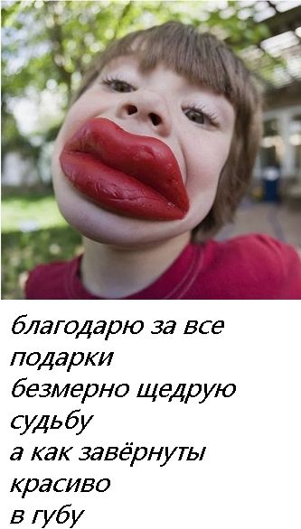 благодарю за все подарки безмерно щедрую судьбу а как завёрнуты красиво в губу