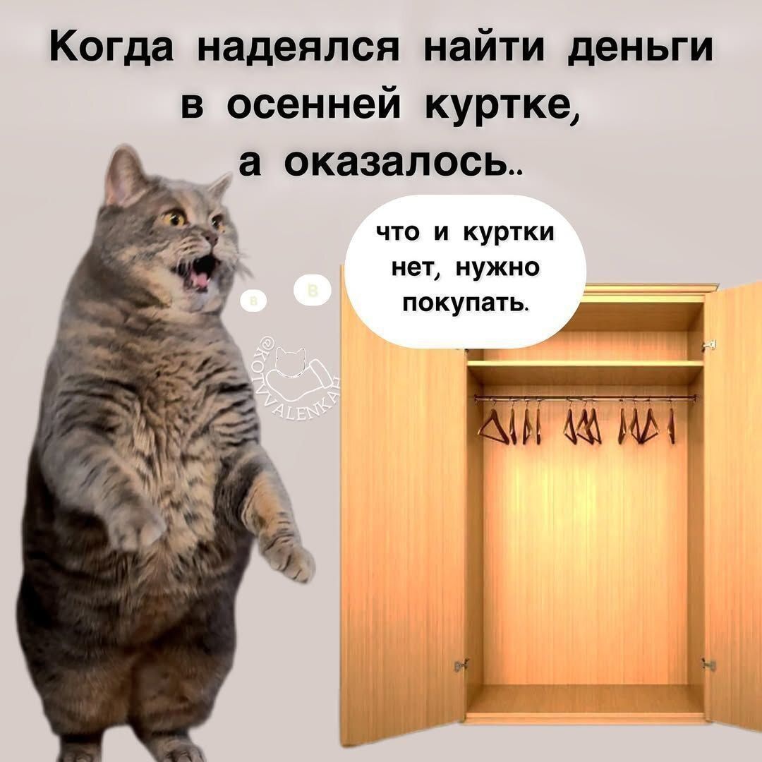 Когда надеялся найти деньги в осенней куртке, а оказалось..
что и куртки нет, нужно покупать.