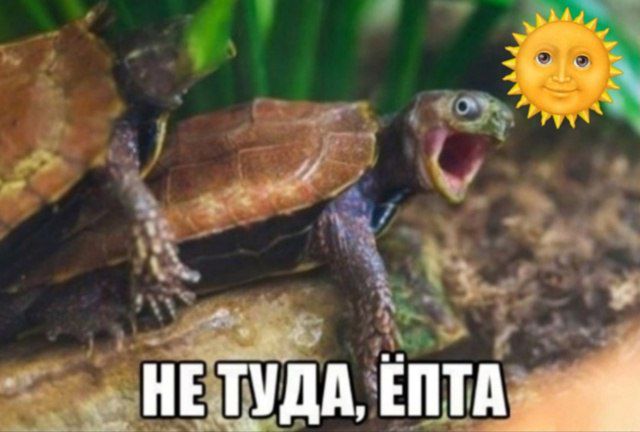 НЕ ТУДА, ЁПТА